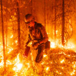 1507_JesseWinter_Wildfire_Story-01 A fire fighter surrounded by flames in a forest.