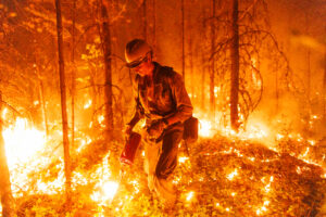 A fire fighter surrounded by flames in a forest.